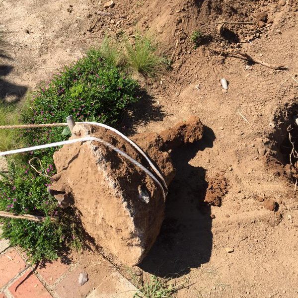 Damaged Light Replaced