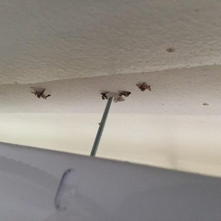 Fluorescent Lighting Correction