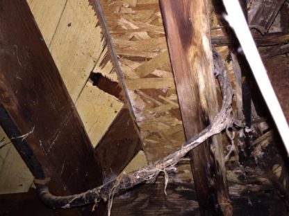 Unused Cable in Danger of Burning